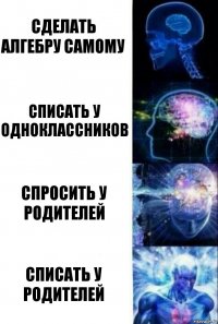 Сделать алгебру самому Списать у одноклассников Спросить у родителей Списать у родителей