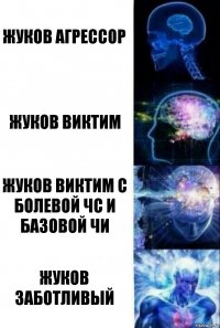 жуков агрессор жуков виктим жуков виктим с болевой чс и базовой чи жуков заботливый