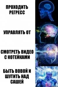 Проходить регресс Управлять ОТ Смотреть видео с котейками Быть Вовой и шутить над Сашей