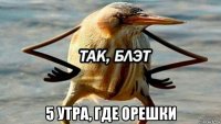  5 утра, где орешки