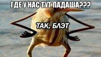 где у нас тут падаша??? 