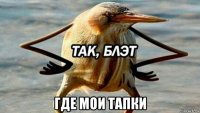  где мои тапки