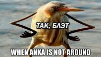  when anka is not around
