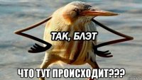  что тут происходит???