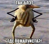 так, блэт где пожалуйста?!