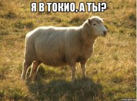 я в токио, а ты? 