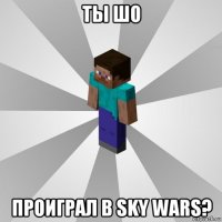 ты шо проиграл в sky wars?