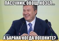 пасечник, овощ, козел... а барана когда погоните?