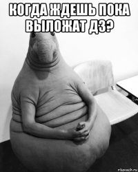 когда ждешь пока выложат дз? 