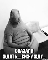  сказали ждать.....сижу жду...