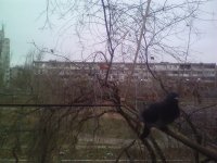 Создать мем Едаа
