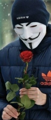 Создать мем Гай фок нюхает розу