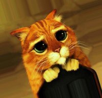 Создать мем Кот