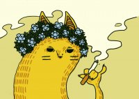 Создать мем Котик курит