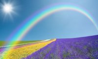 Создать мем Природа