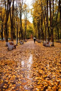 Создать мем ПСКОВ