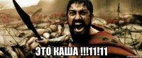  это каша !!!11!11