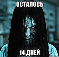 осталось 14 дней