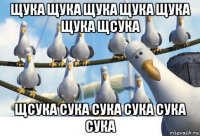 щука щука щука щука щука щука щсука щсука сука сука сука сука сука