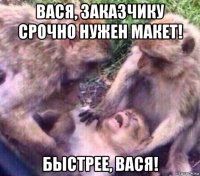 вася, заказчику срочно нужен макет! быстрее, вася!