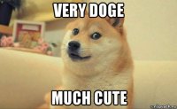 very doge much cute