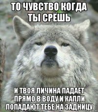 то чувство когда ты срёшь и твоя личина падает прямо в воду и капли попадают тебе на задницу