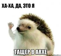  тащер в arxe