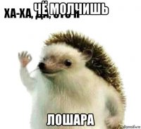 чё молчишь лошара