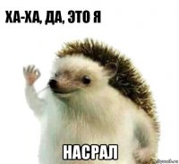  насрал