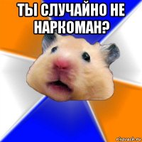 ты случайно не наркоман? 