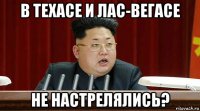 в техасе и лас-вегасе не настрелялись?