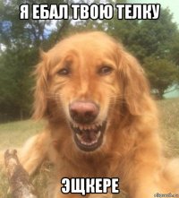 я ебал твою телку эщкере