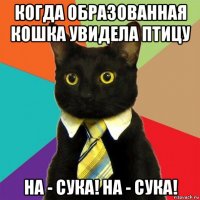 когда образованная кошка увидела птицу на - сука! на - сука!