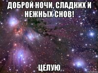 доброй ночи, сладких и нежных снов! целую