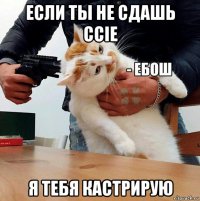 если ты не сдашь ccie я тебя кастрирую