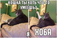 кошка ты хоть что-то умеешь? я: