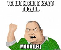 ты шо играл в кс до поздна молодец