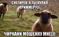 снегирев, а ты купил триммер?)) чиркани мошенку мне)))