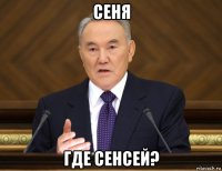 сеня где сенсей?