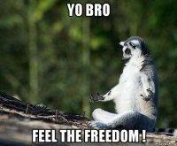 yo bro feel the freedom !