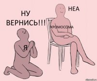 я хромосома ну вернись!!!