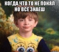 когда что то не понял но всё знаеш 