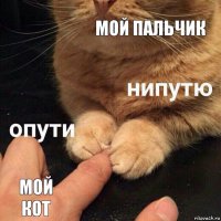 Мой пальчик Мой кот