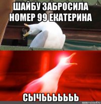 шайбу забросила номер 99 екатерина сычььььььь