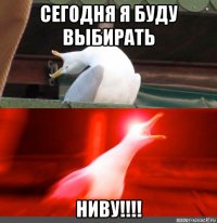 сегодня я буду выбирать ниву!!!!