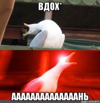 вдох* аааааааааааааань