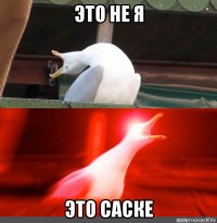 это не я это саске