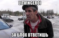 litvingeroi за блох ответишь