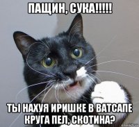 пащин, сука!!!!! ты нахуя иришке в ватсапе круга пел, скотина?