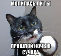 молилась ли ты прошлой ночью сучара